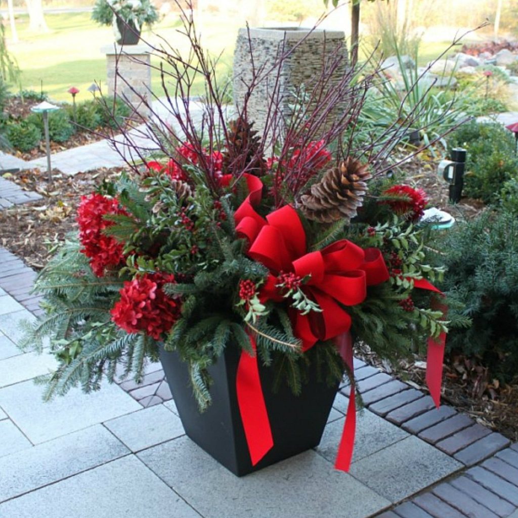 Holiday Traditions container gardens