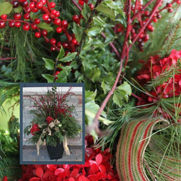 Peace on Earth holiday container garden
