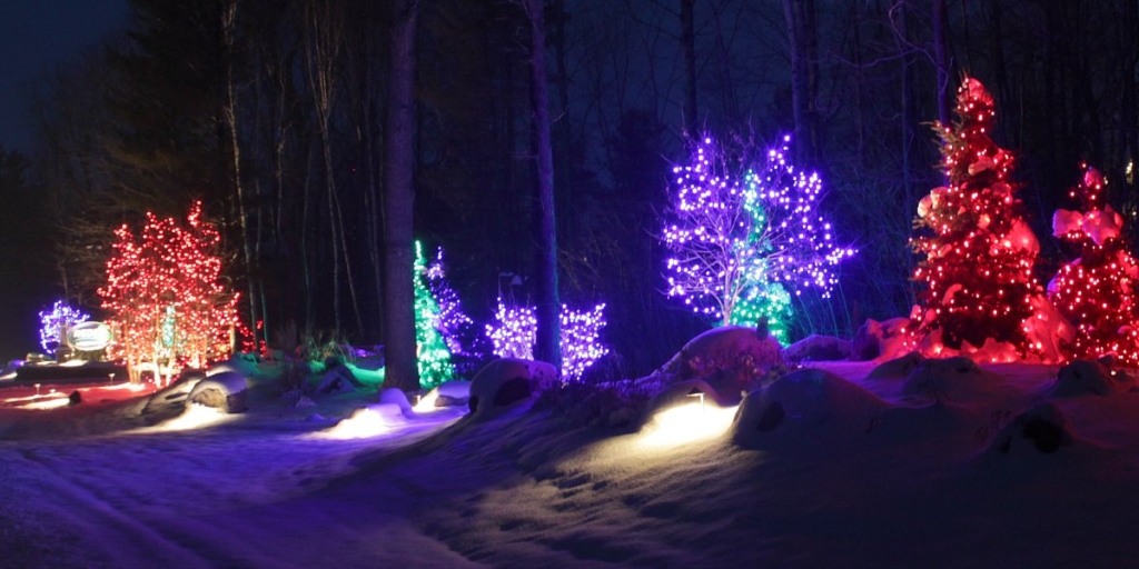 holiday-lighting-reder-landscaping-6