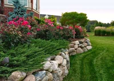 Landscaping Companies in my Area | Landscape and Plantings
