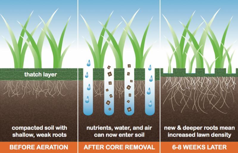 Fall core store aeration