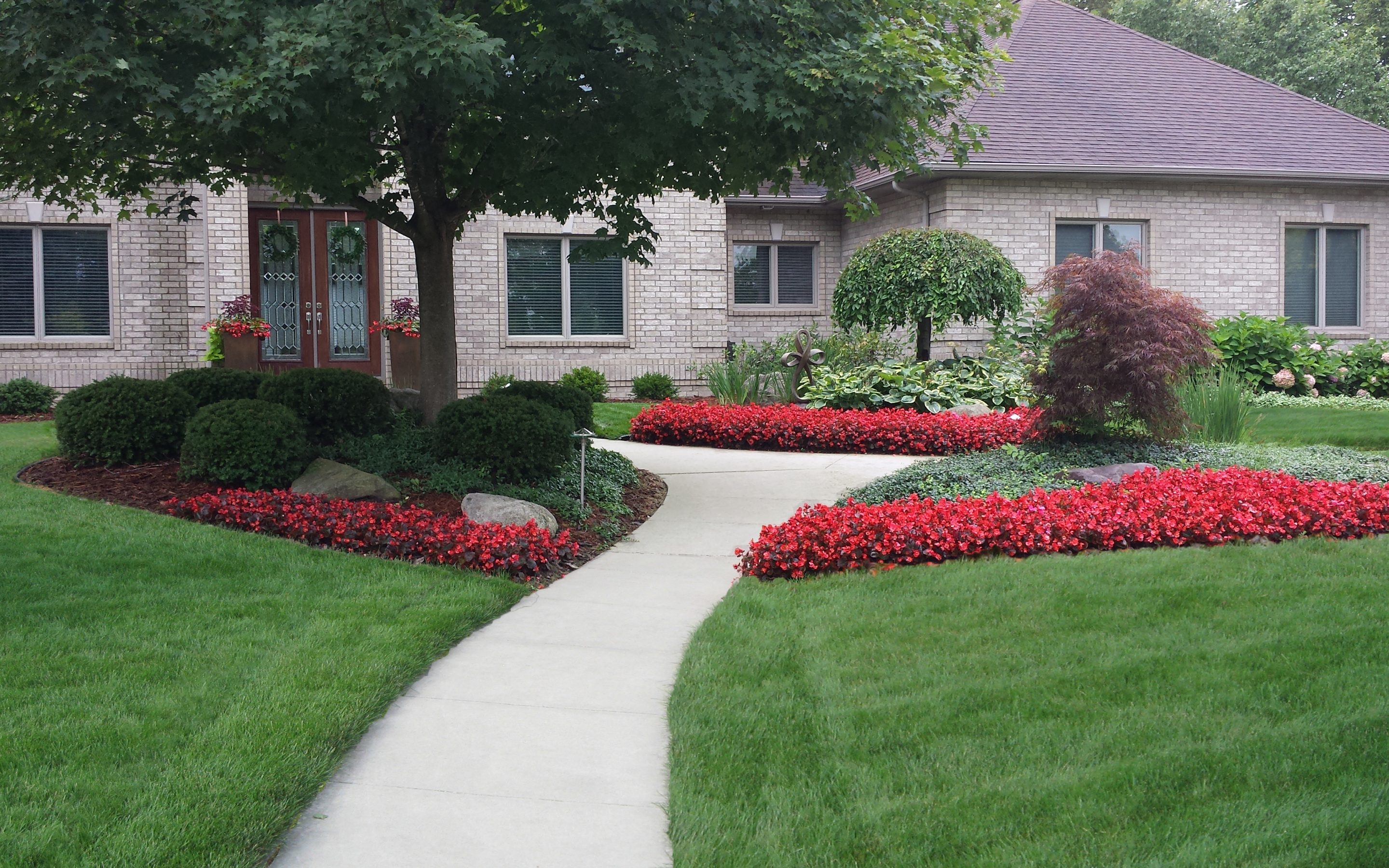 Lawn Renovation