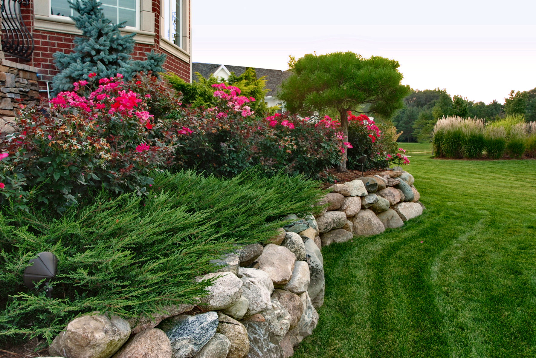 Landscape Design & Maintenance 2019