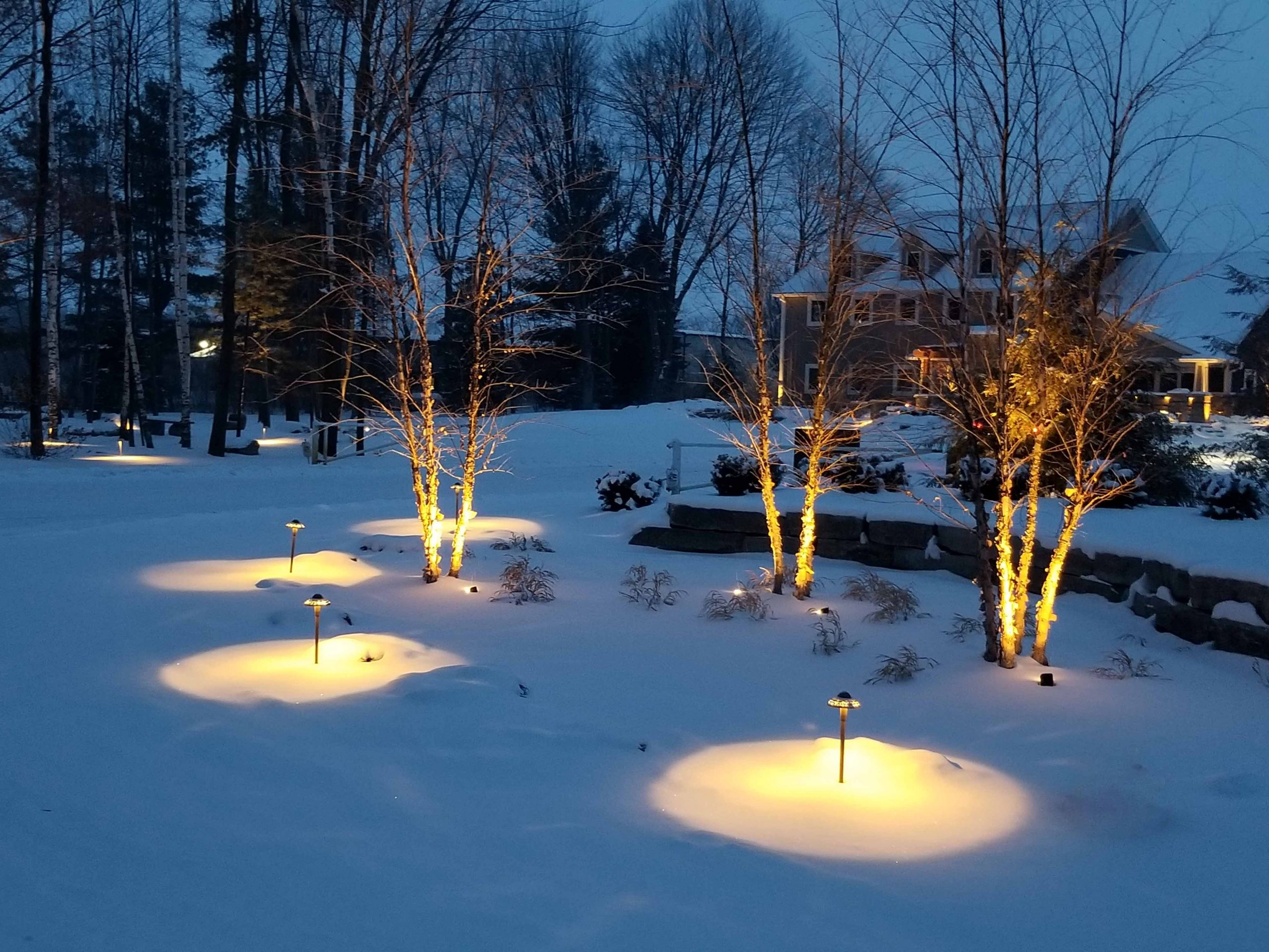 Landscape lighting in snow deals